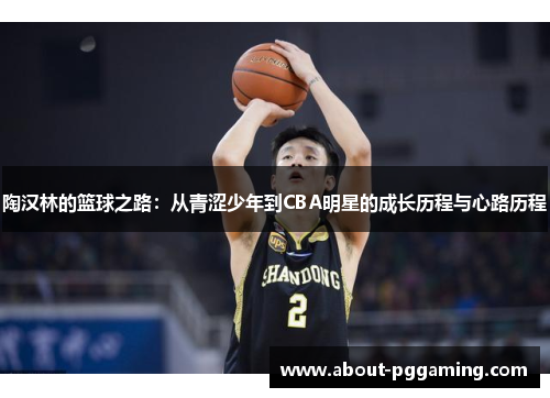 陶汉林的篮球之路:从青涩少年到CBA明星的成长历程与心路历程 陶汉林的篮球之路:从青涩少年到CBA明星的成长历程与心路历程
